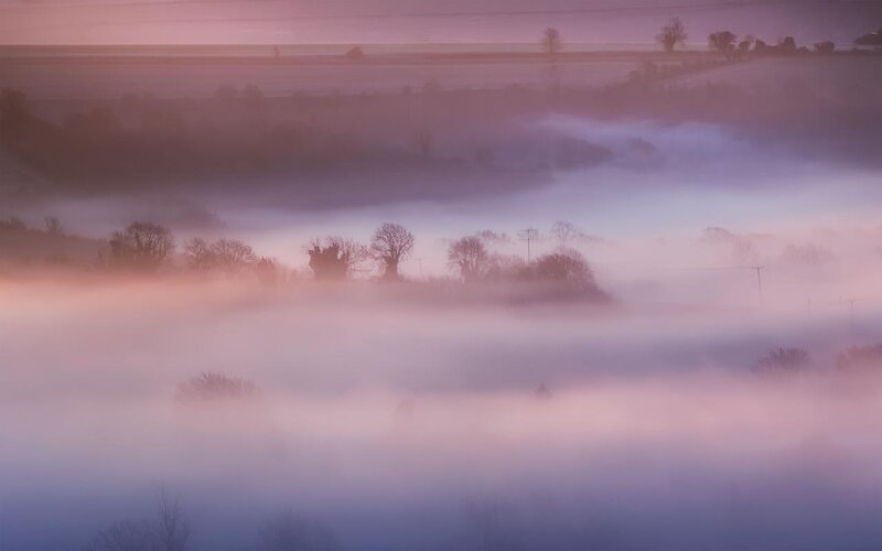 Foggy Landscape at Dawn — Pink