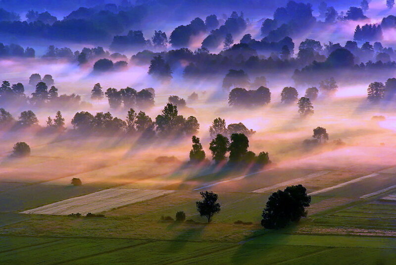 Foggy Landscape at Dawn — Purple