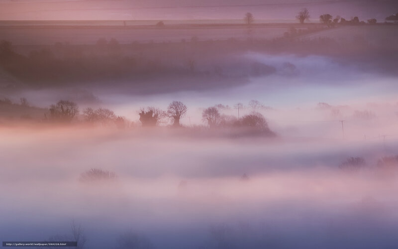 Foggy landscape at dawn