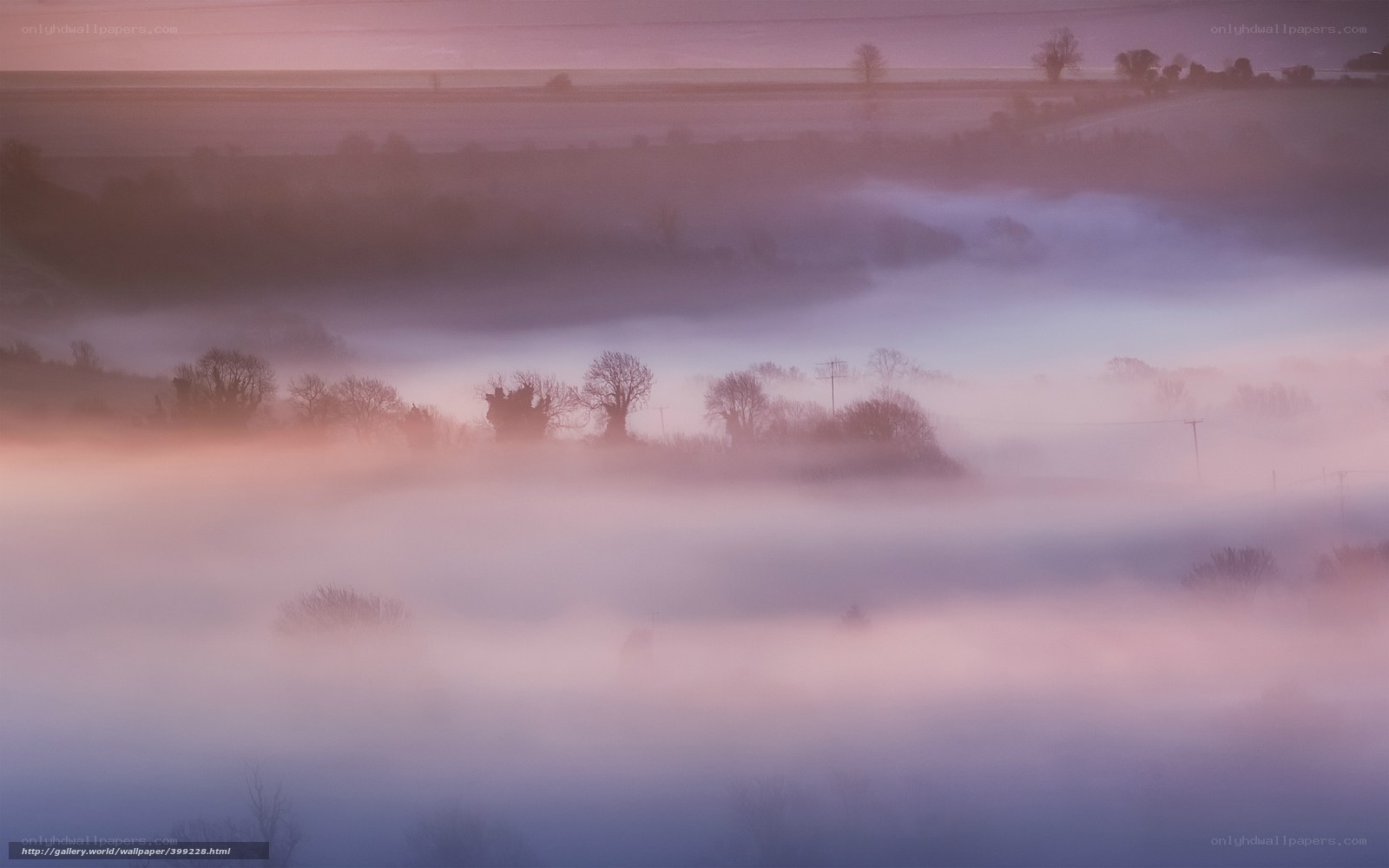 Foggy landscape at dawn