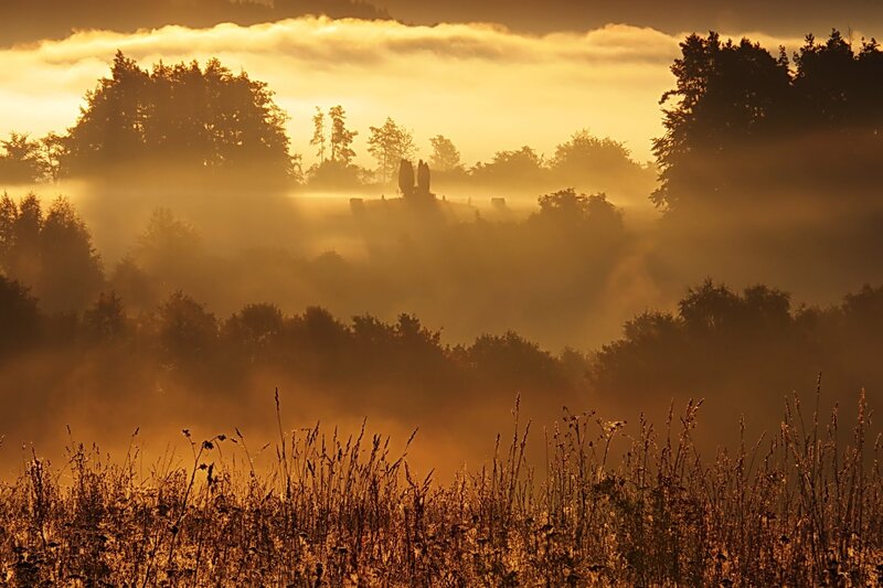 Foggy Landscape at Sunrise — Gold