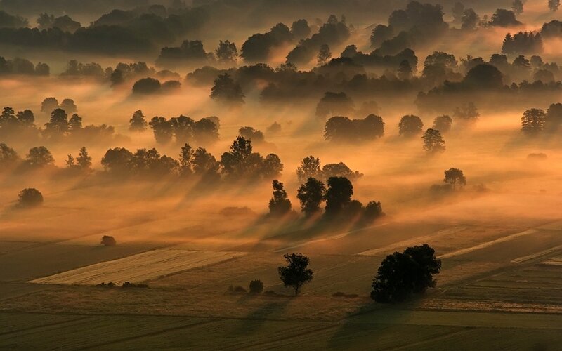 Foggy Landscape at Sunrise — Orange
