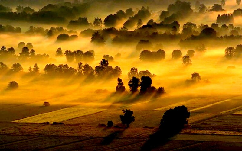 Foggy Landscape at Sunrise