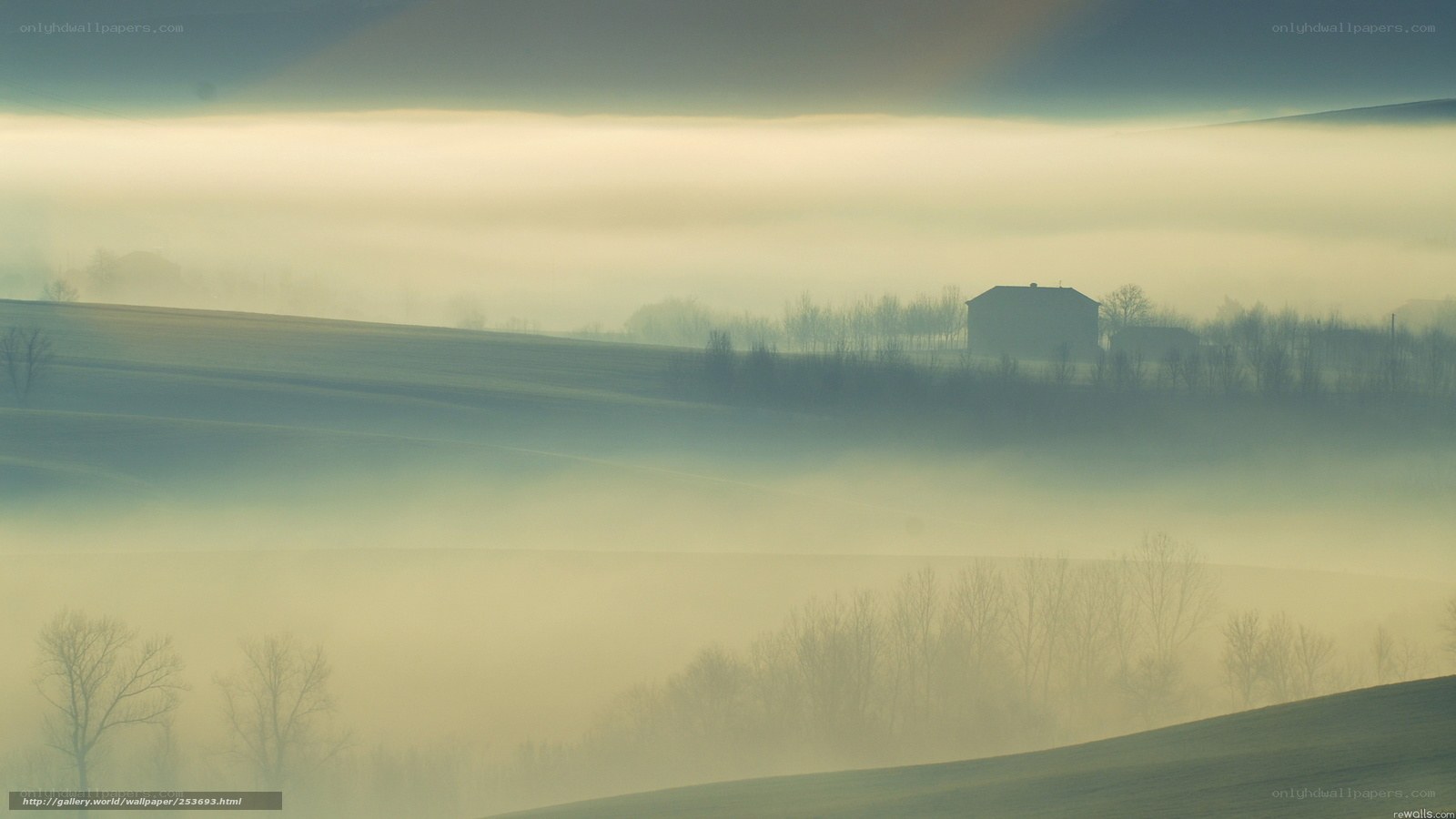 Foggy landscape with house