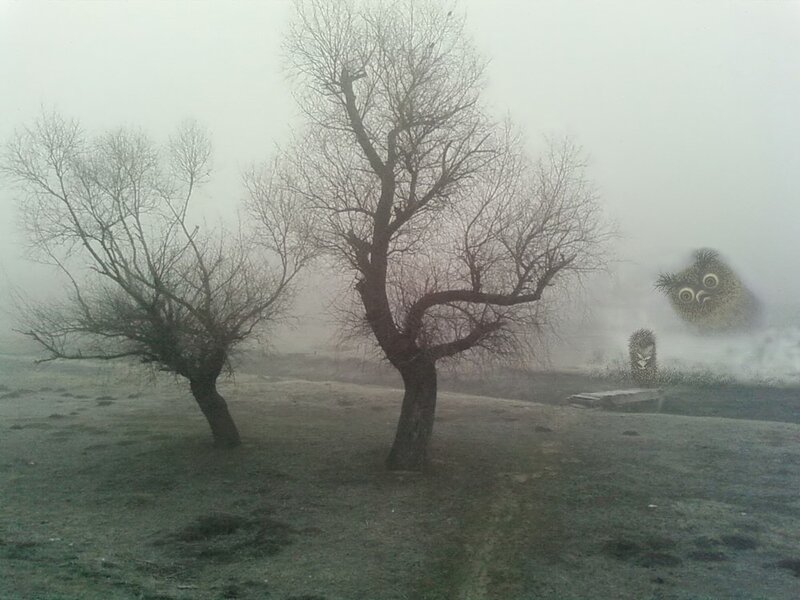 Foggy landscape with trees