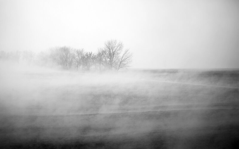 Foggy landscape with trees
