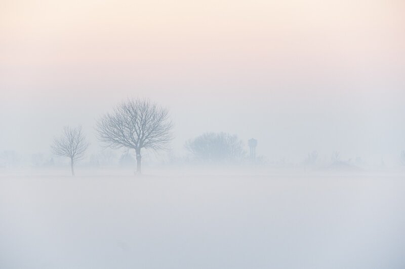 Foggy landscape with trees