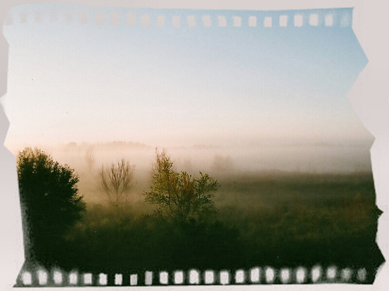 Foggy Landscape with Trees — Green