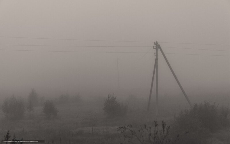 Foggy landscape with utility pole