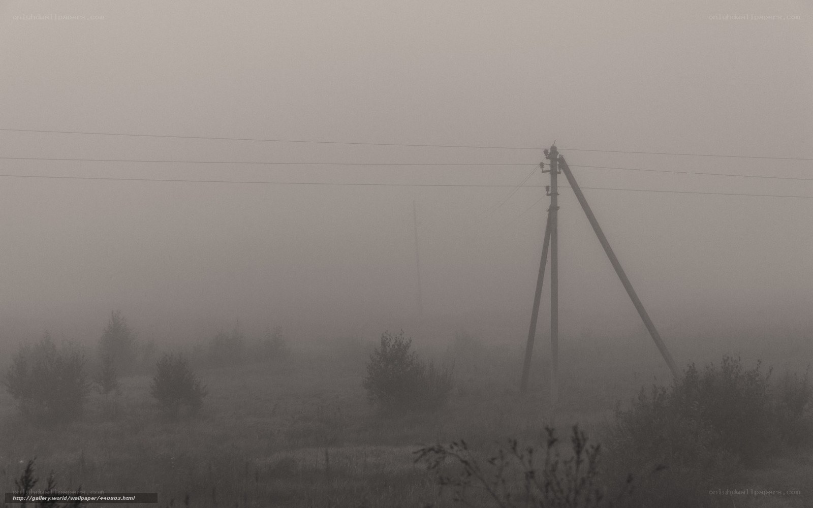 Foggy landscape with utility pole