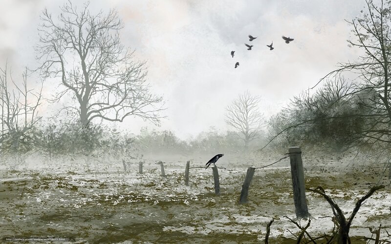 Foggy Marsh with Crows