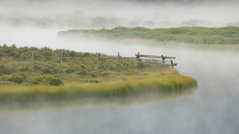 Foggy marsh with wooden fence