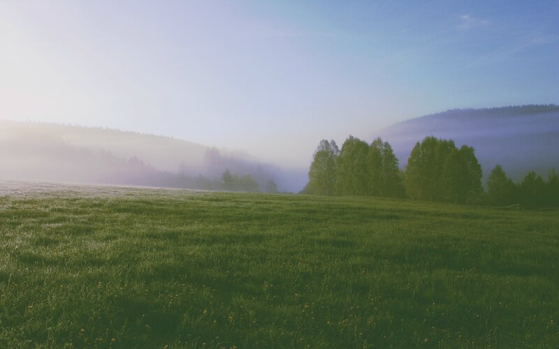 Foggy Meadow at Dawn — Green