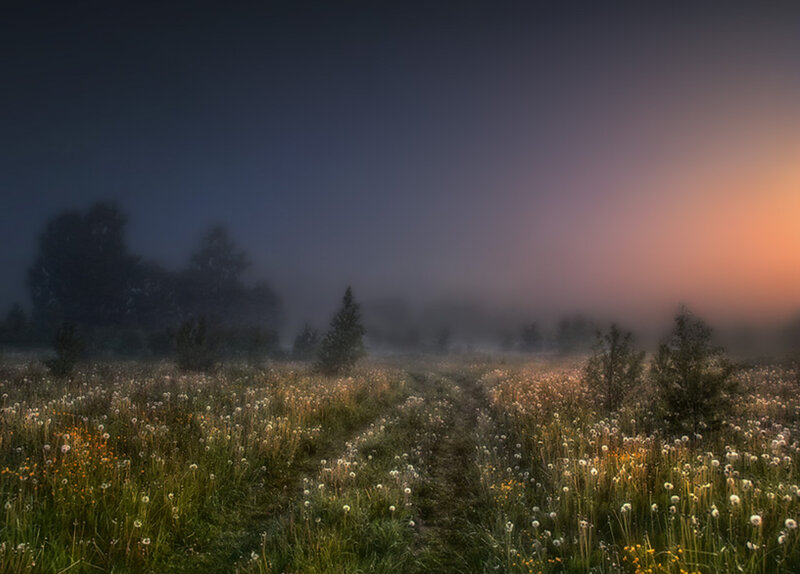Foggy Meadow at Dawn — Purple