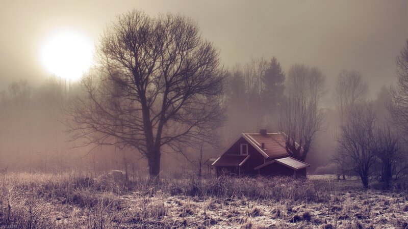 Foggy morning at a rural cabin