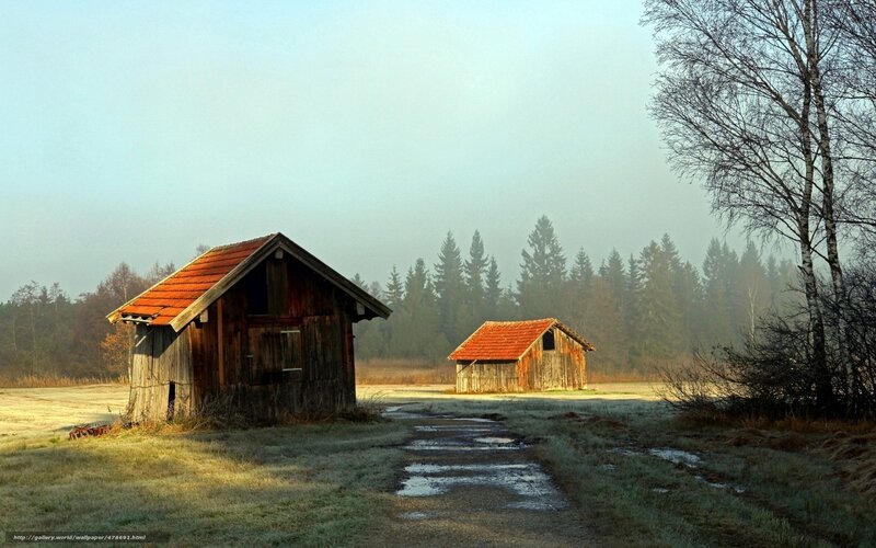 Foggy morning at farm sheds