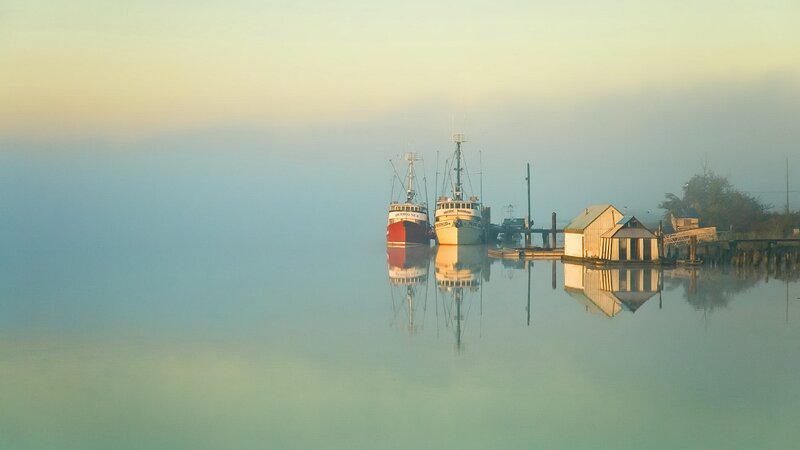 Foggy morning at the harbor