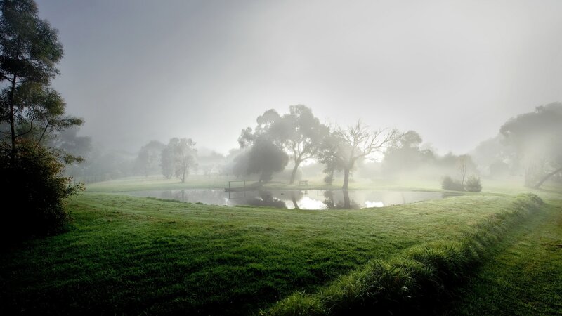 Foggy morning by the pond
