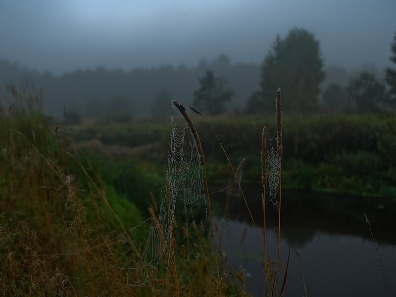 Foggy morning by the river