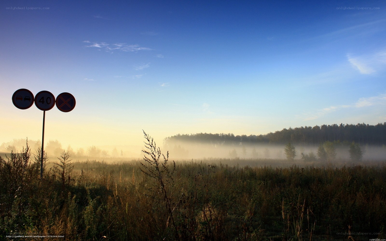 Foggy morning by the road