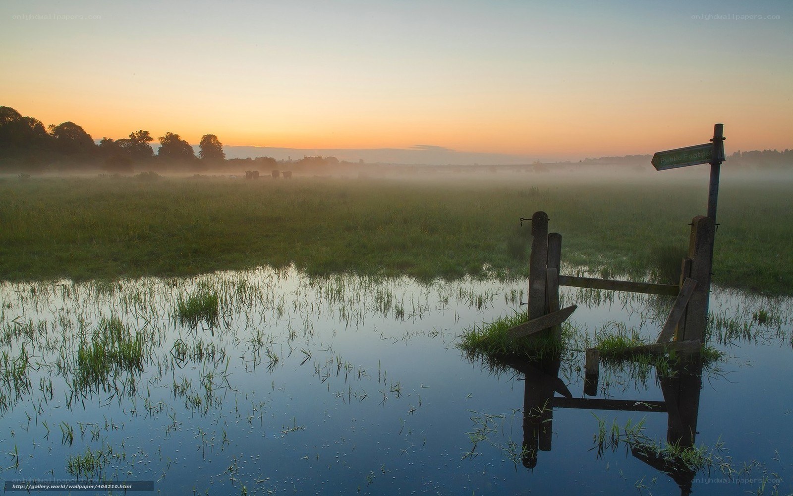 Foggy morning by the water