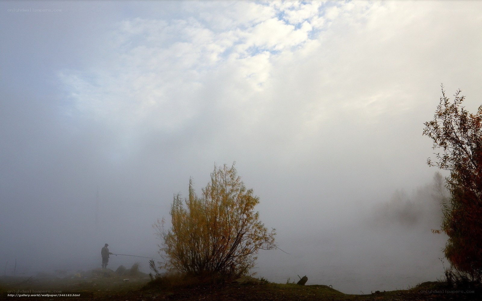 Foggy morning fishing