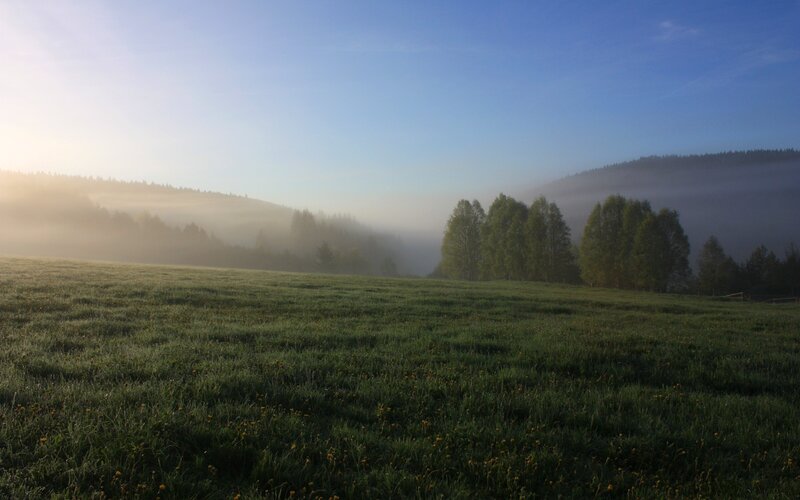 Foggy morning in a green valley
