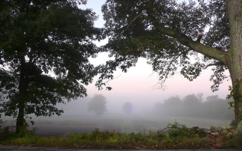 Foggy morning in a rural landscape