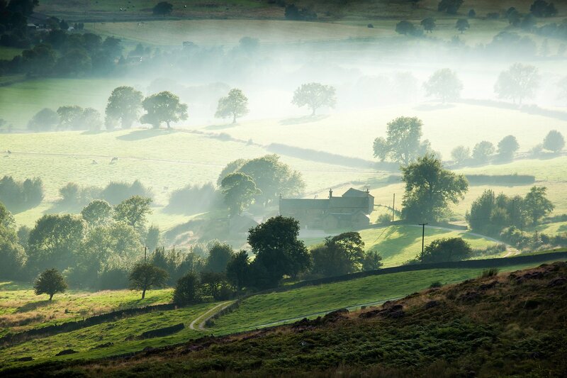 Foggy morning in the countryside