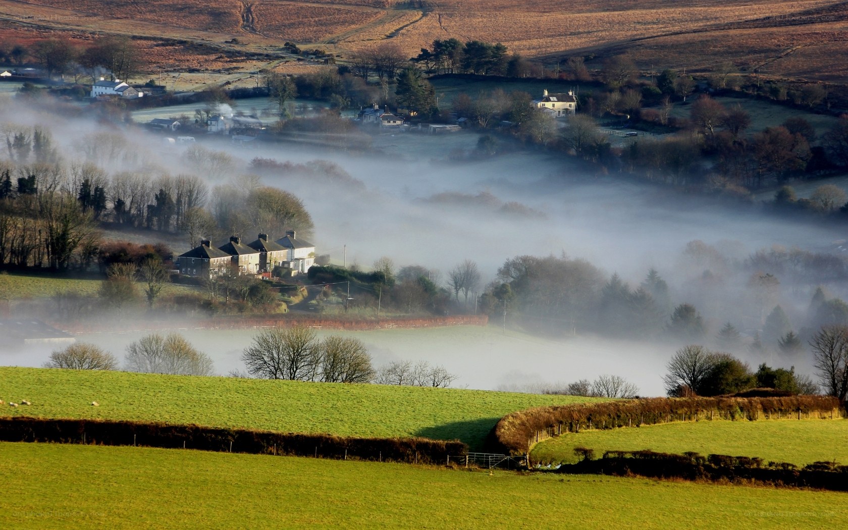 Foggy morning in the countryside