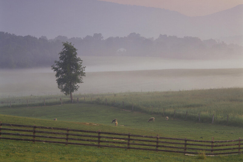 Foggy morning in the countryside
