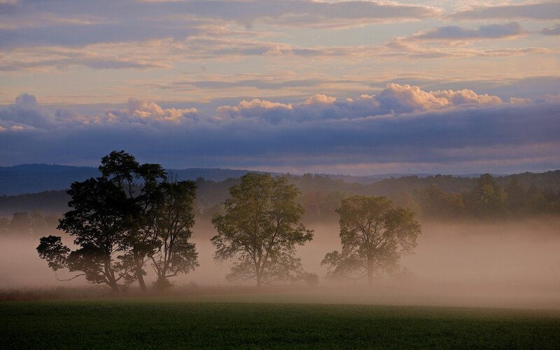 Foggy morning in the countryside