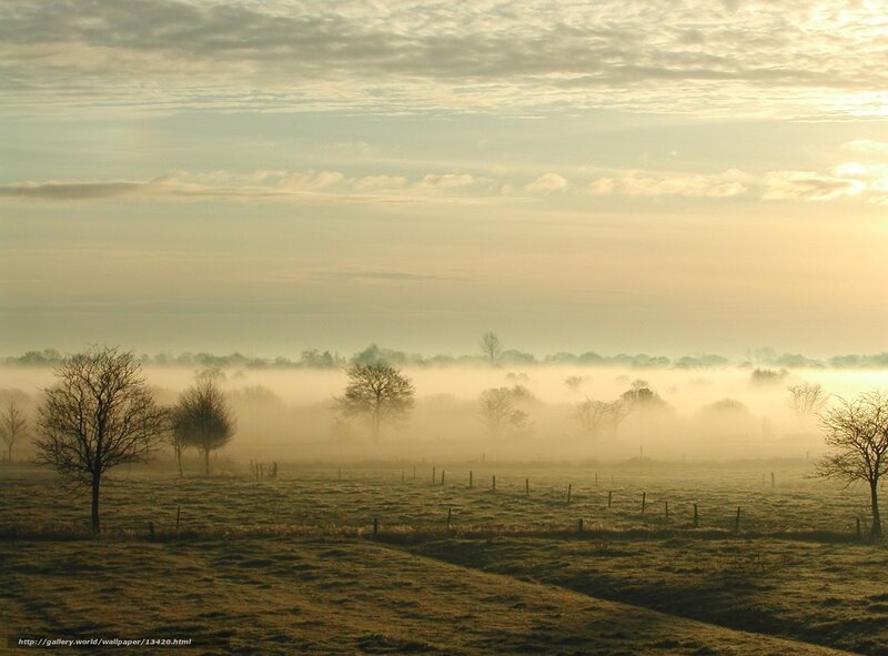 Foggy Morning in the Countryside