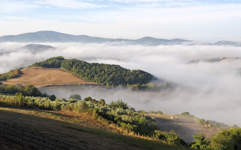 Foggy morning in the hills