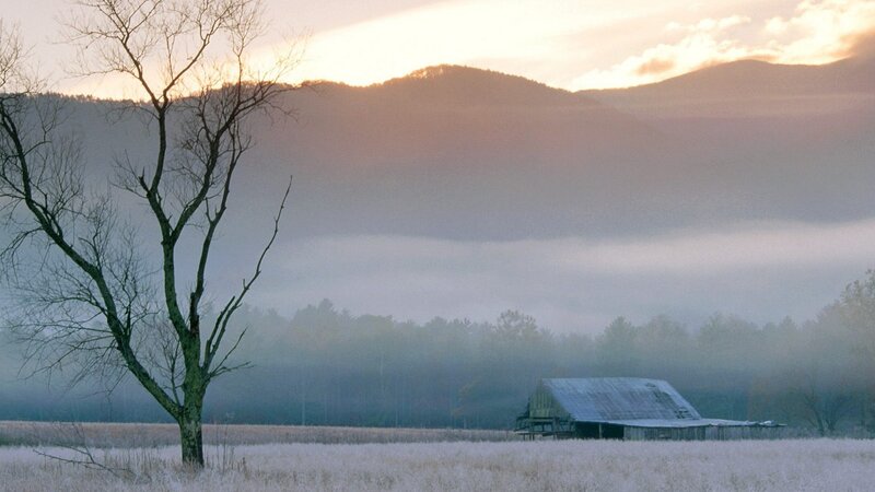 Foggy morning in the mountains