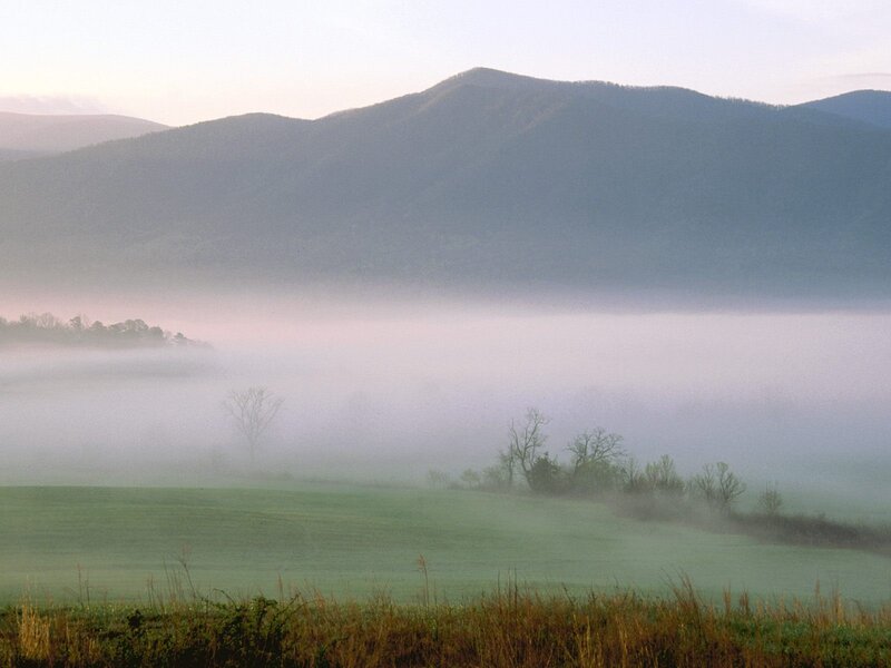 Foggy morning in the mountains