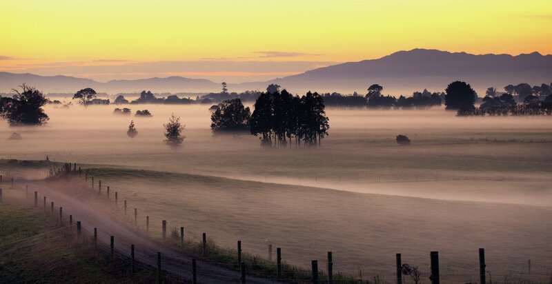 Foggy morning in the valley
