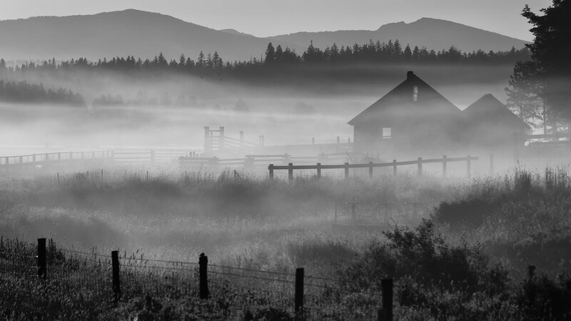 Foggy morning on a farm