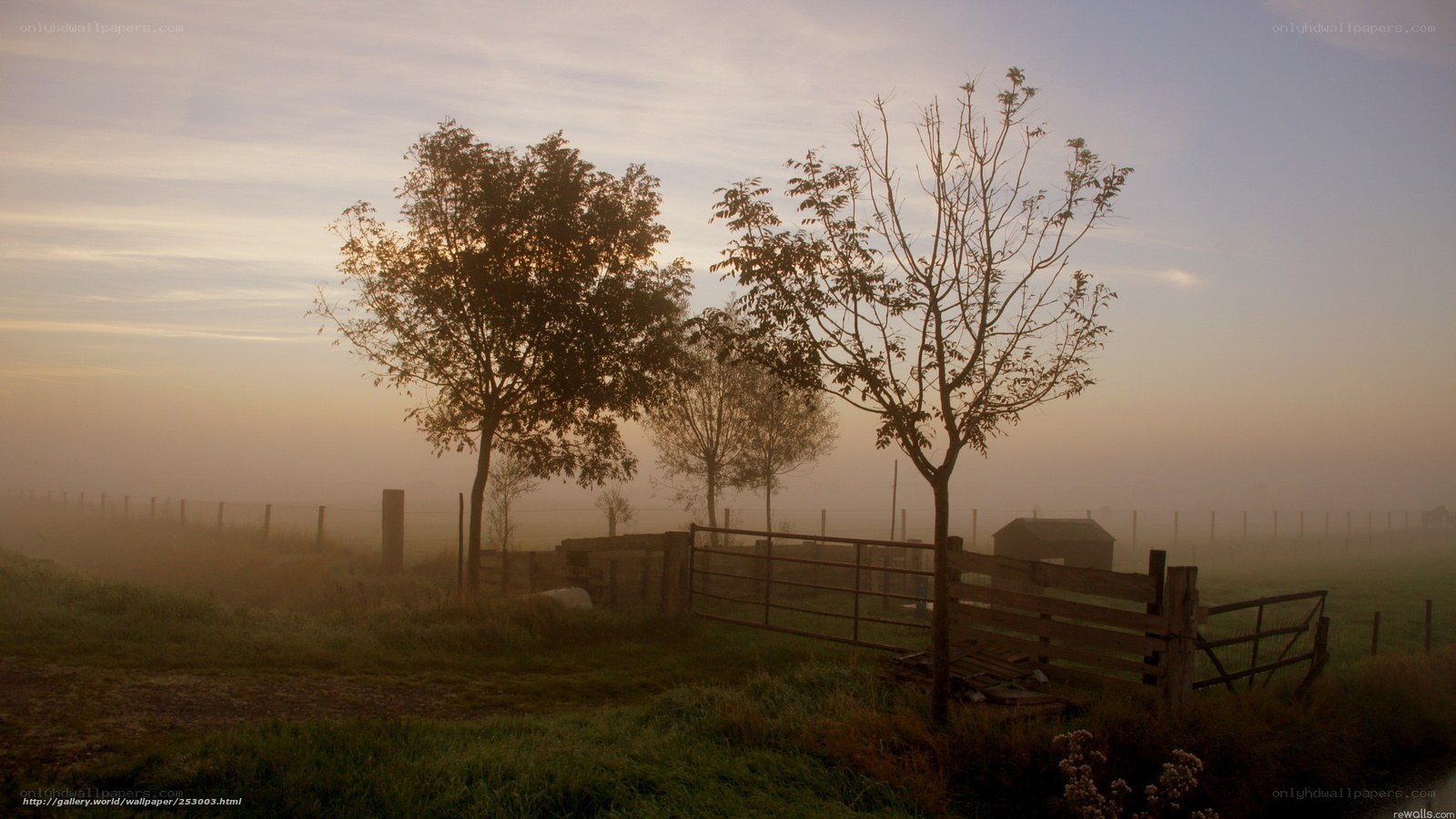 Foggy Morning on a Farm
