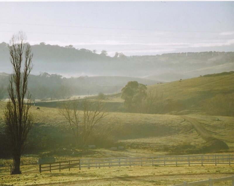 foggy morning on a rural hillside