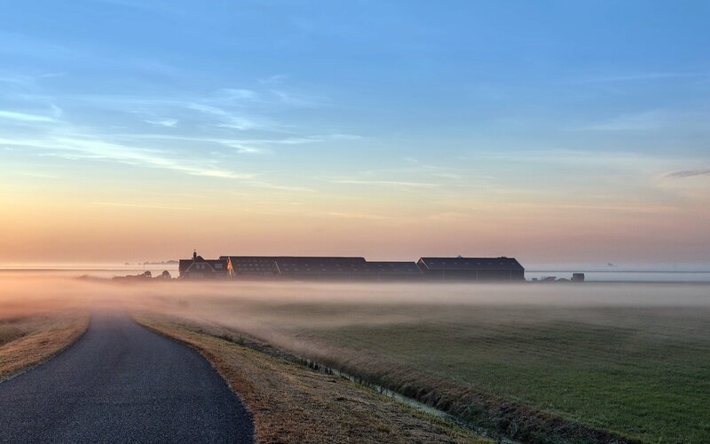 Foggy morning on a rural road