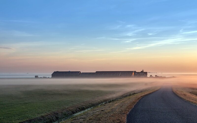 Foggy morning on a rural road