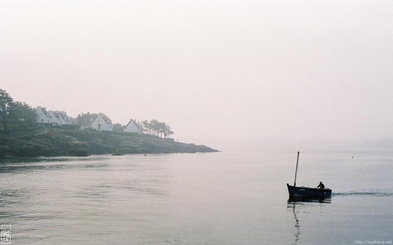 Foggy morning on the coast