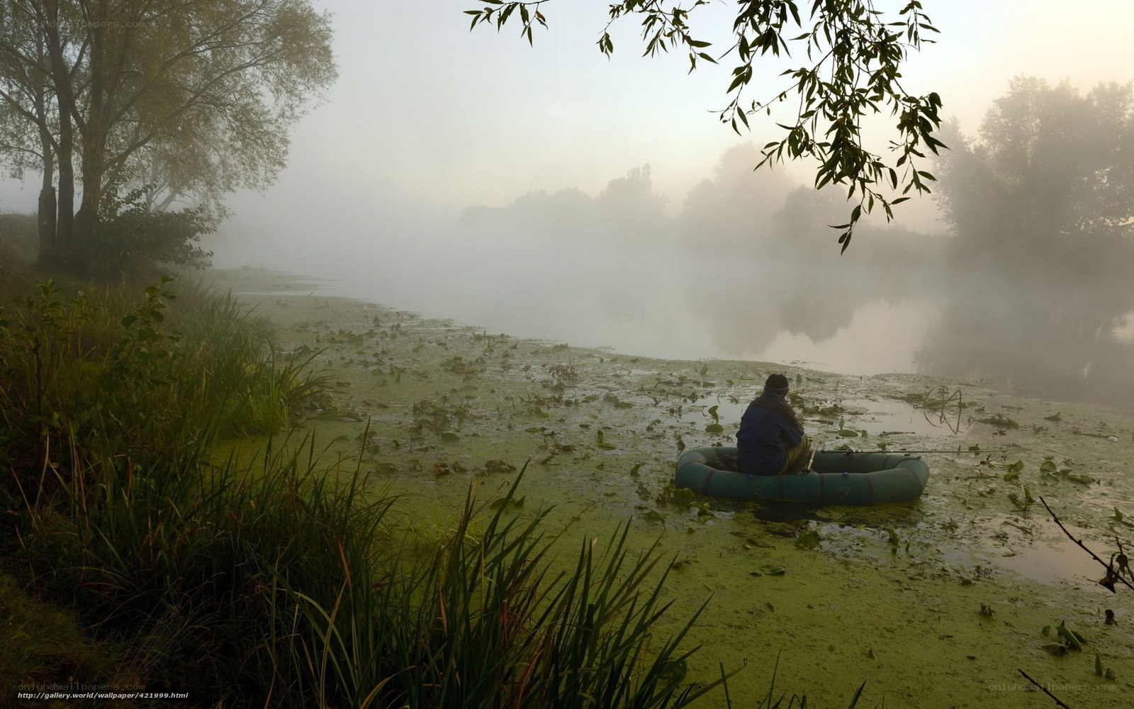 Foggy morning on the river
