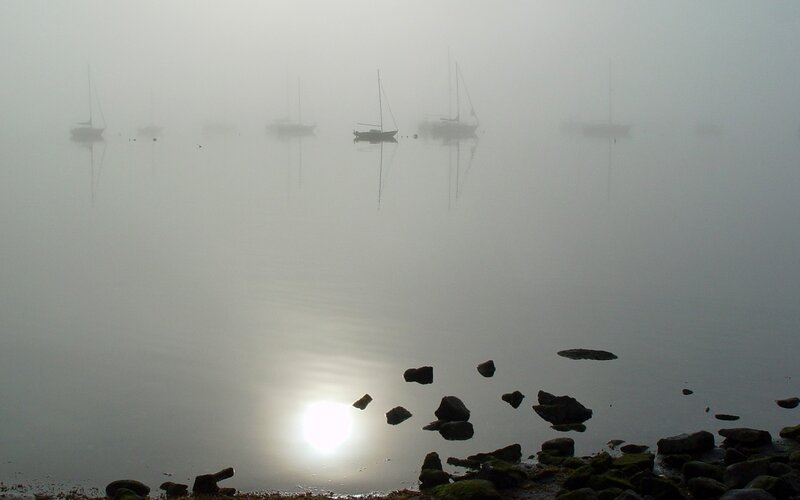 Foggy morning on the water