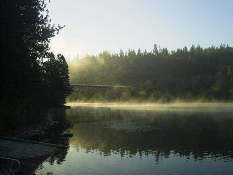 Foggy morning over a forested lake