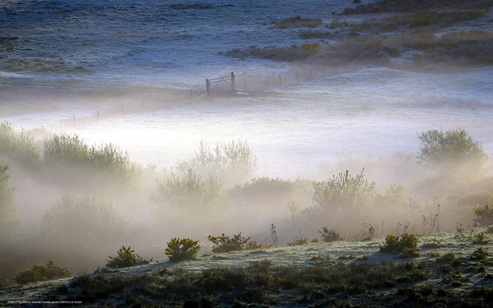 Foggy morning over a frosty field