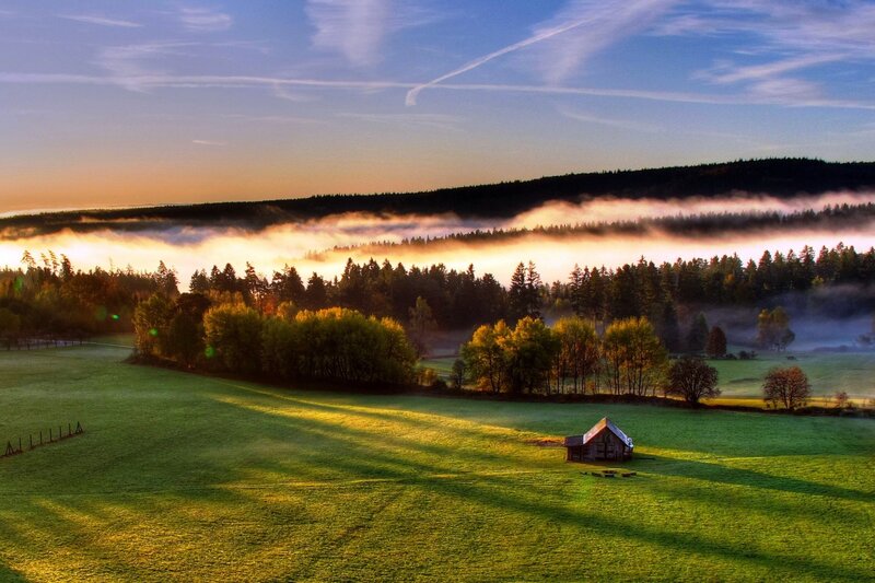 Foggy morning over a green field