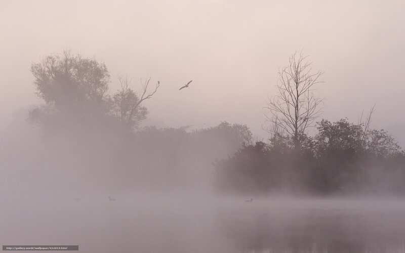 Foggy morning over a lake