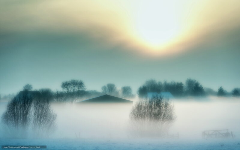 Foggy morning over a rural landscape